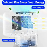 Airvella Dehumidifier For Bedroom US8
